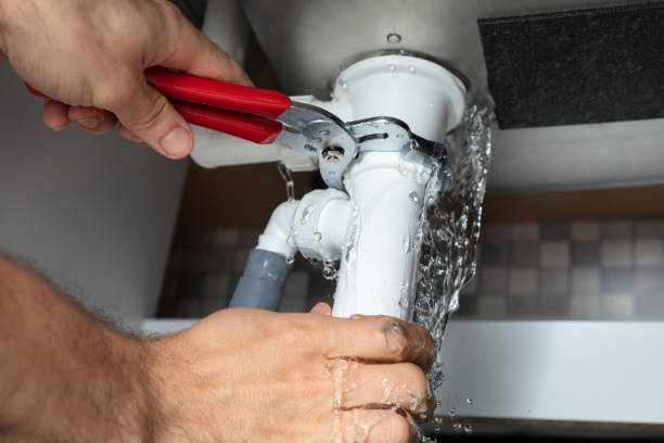 Best Mold removal after water damage  in Ashburn, GA