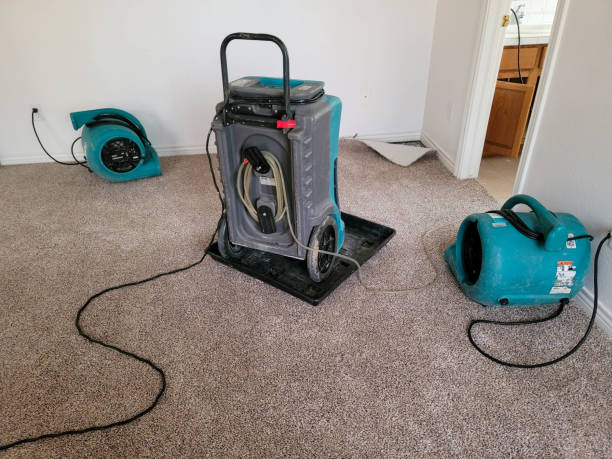 Best Water damage restoration near me  in Ashburn, GA