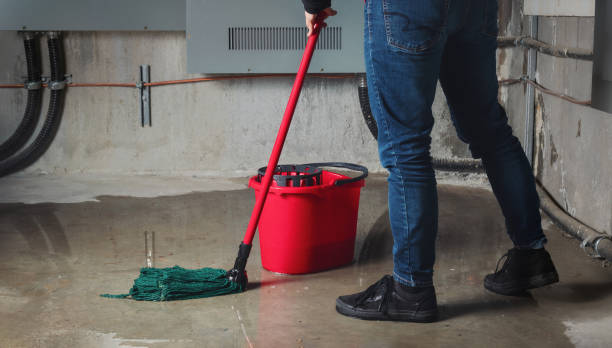 Best Water damage restoration cost  in Ashburn, GA