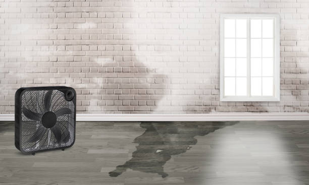 Best Fire Damage Restoration  in Ashburn, GA
