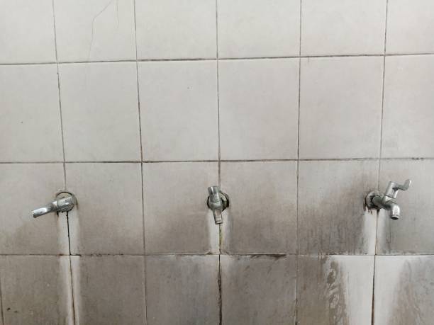Best Sewage cleanup and water damage restoration  in Ashburn, GA