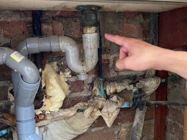 Best Flood damage cleanup  in Ashburn, GA