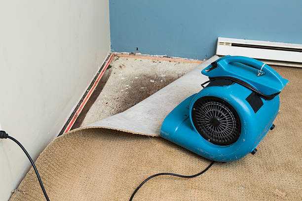 Best Commercial water damage restoration  in Ashburn, GA
